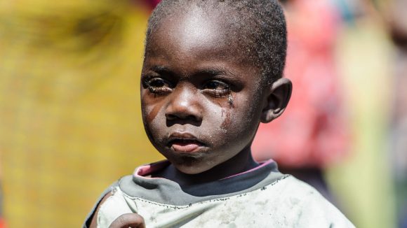 Close-up of Pumelo standing in his village.