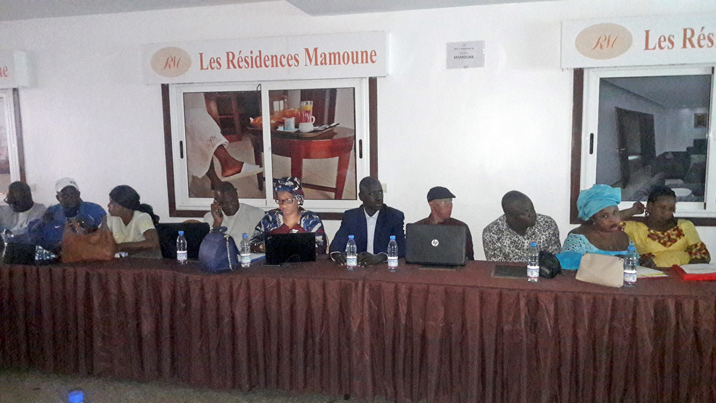 Staff from Sightsavers and other organisations sitting at a conference table during the meeting.