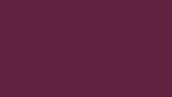 A colour swatch showing Sightsavers Aubergine brand colour.