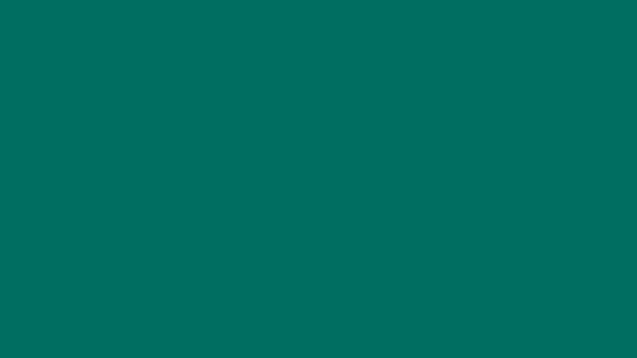 A colour swatch showing Sightsavers Forest brand colour.