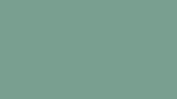 A colour swatch showing Sightsavers Mint brand colour.