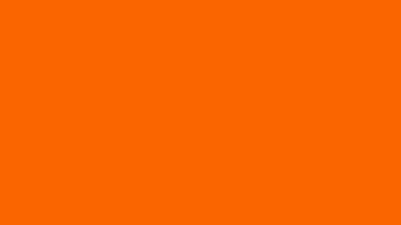 A colour swatch showing Sightsavers Orange brand colour.