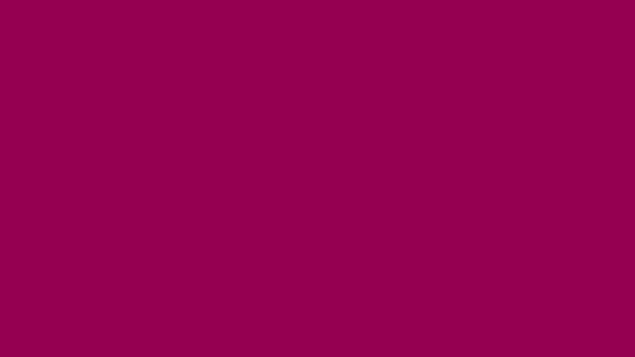 A colour swatch showing Sightsavers Raspberry brand colour.