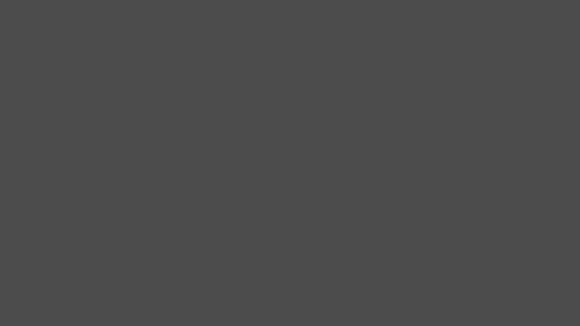 A colour swatch showing Sightsavers Slate brand colour.