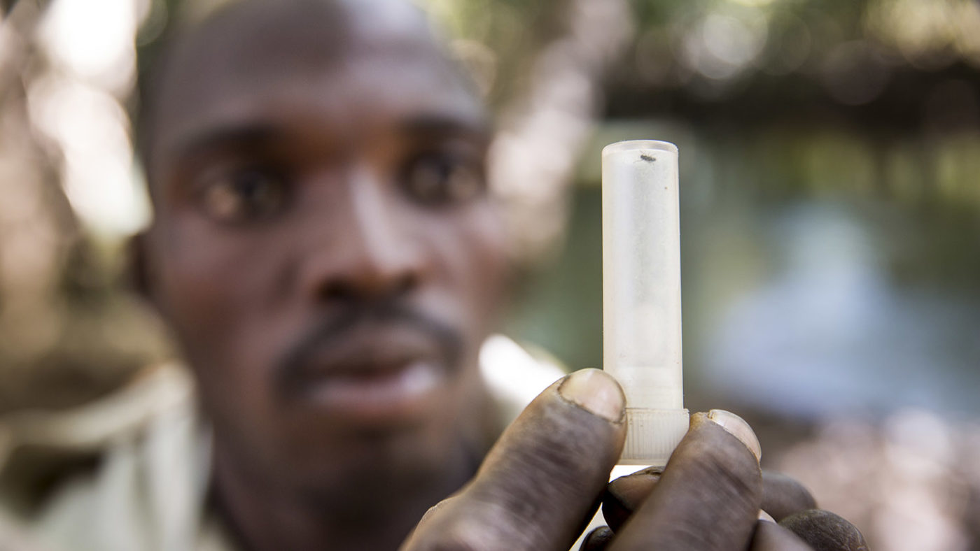 A man holds up a vial containing a blackfly.