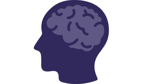 an illustration of a brain.