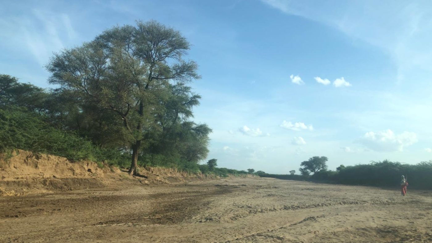 A Kenyan landscape with blue skies.