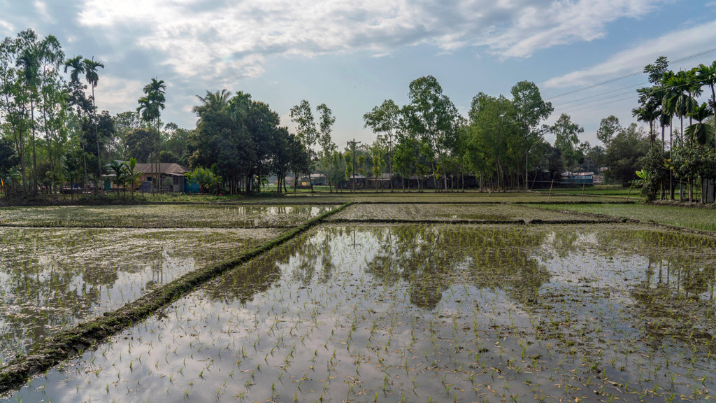 A landscape of fields.
