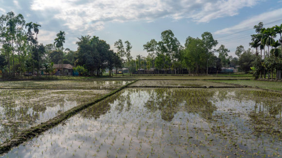 A landscape of fields.
