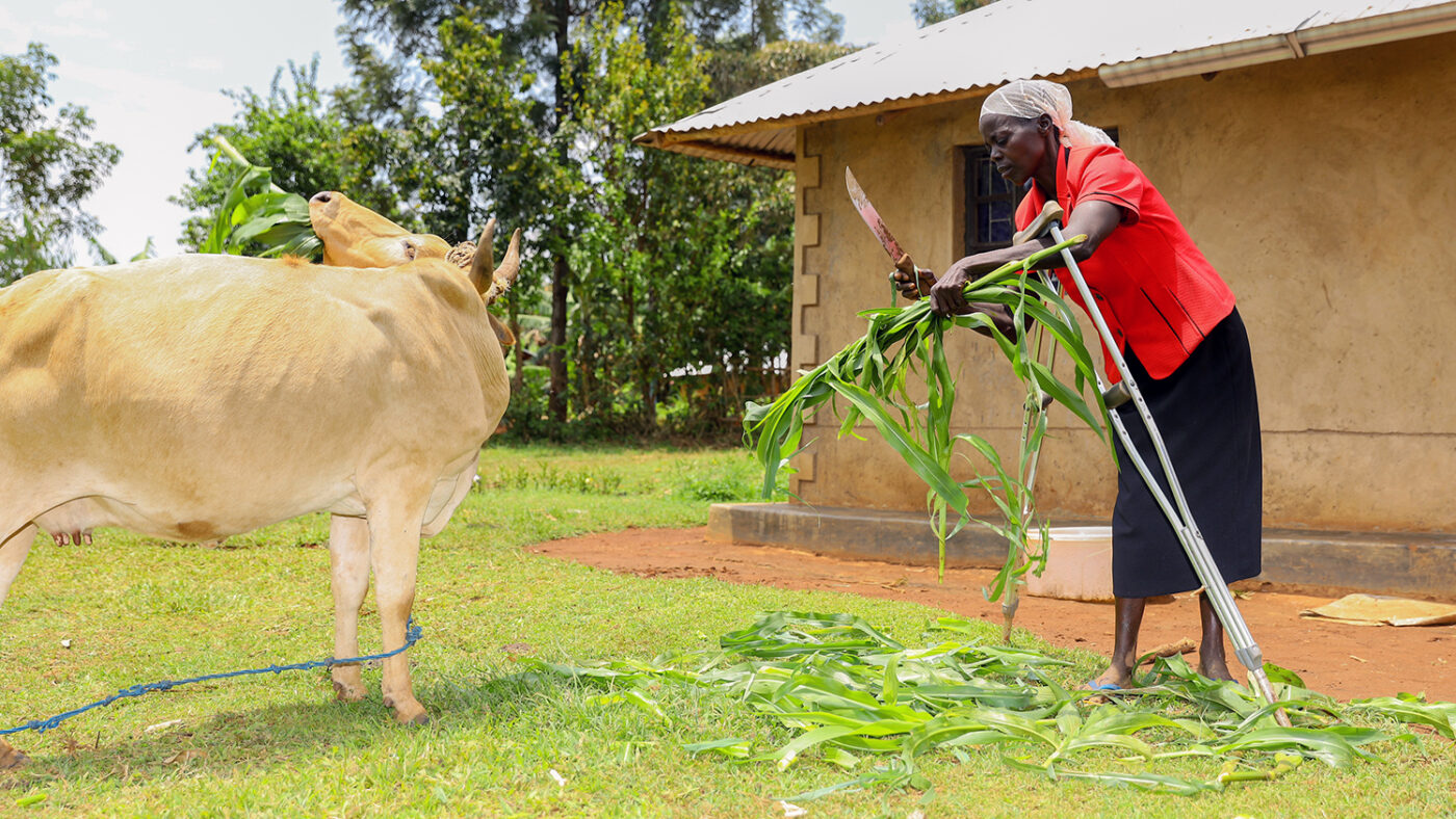 Jeniffer prepares the crops outside her home.