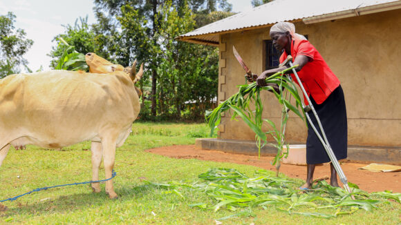 Jeniffer prepares the crops outside her home.