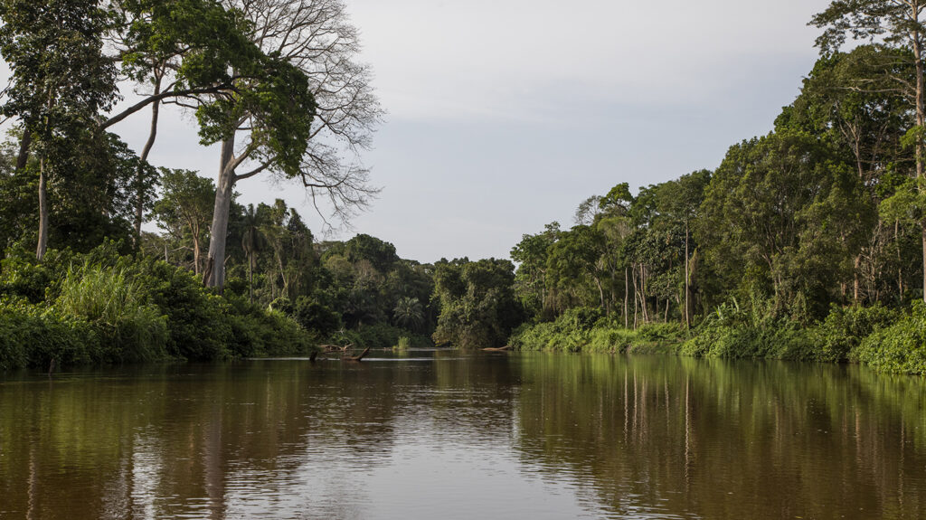 A scenic landscape in Cameroon showing a lush river with vegetation and trees either side.