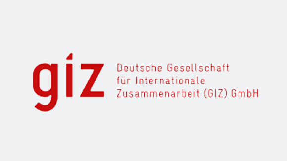 GIZ logo.