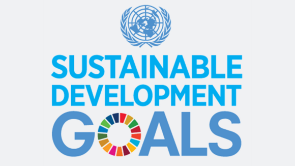 Sustainable Development Goals logo.