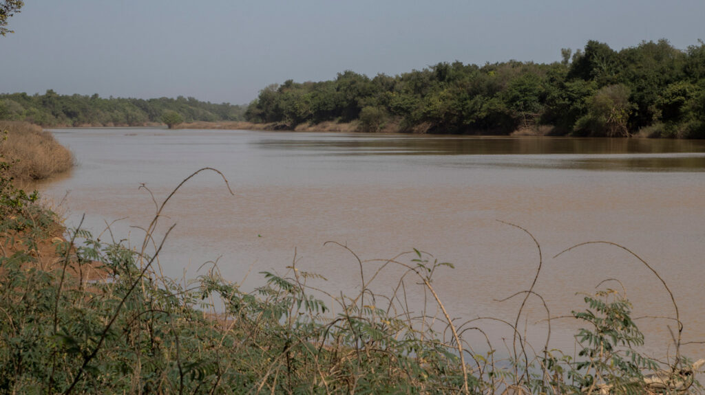 A wide river in Mali with green shrubs on either bank.