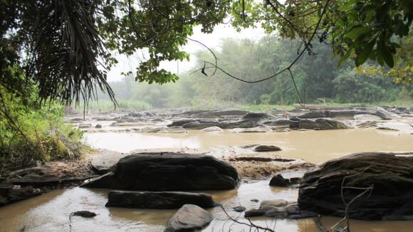Boulders in a river beneath a canopy of trees.