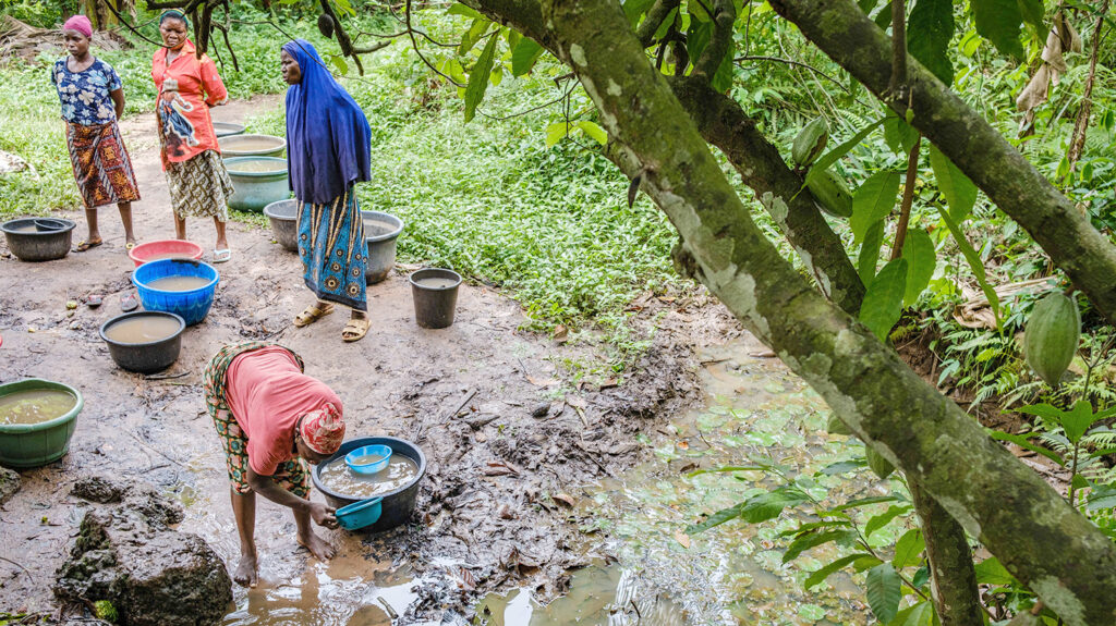 A group of women in Nigeria collect water in basins from a muddy river. They're surrounded by lush greenery.