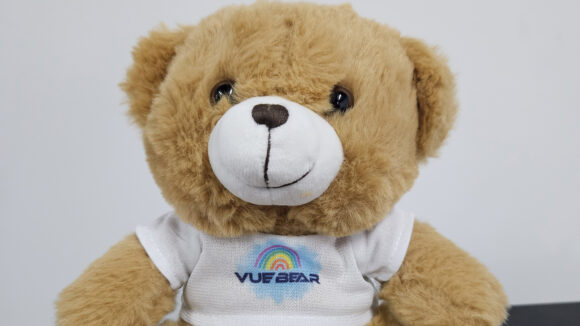 Vue Bear mascot