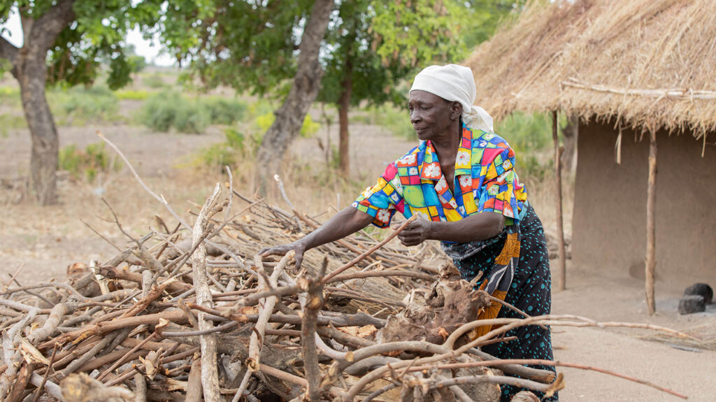 Angeshita collects wood from a large pile of sticks.