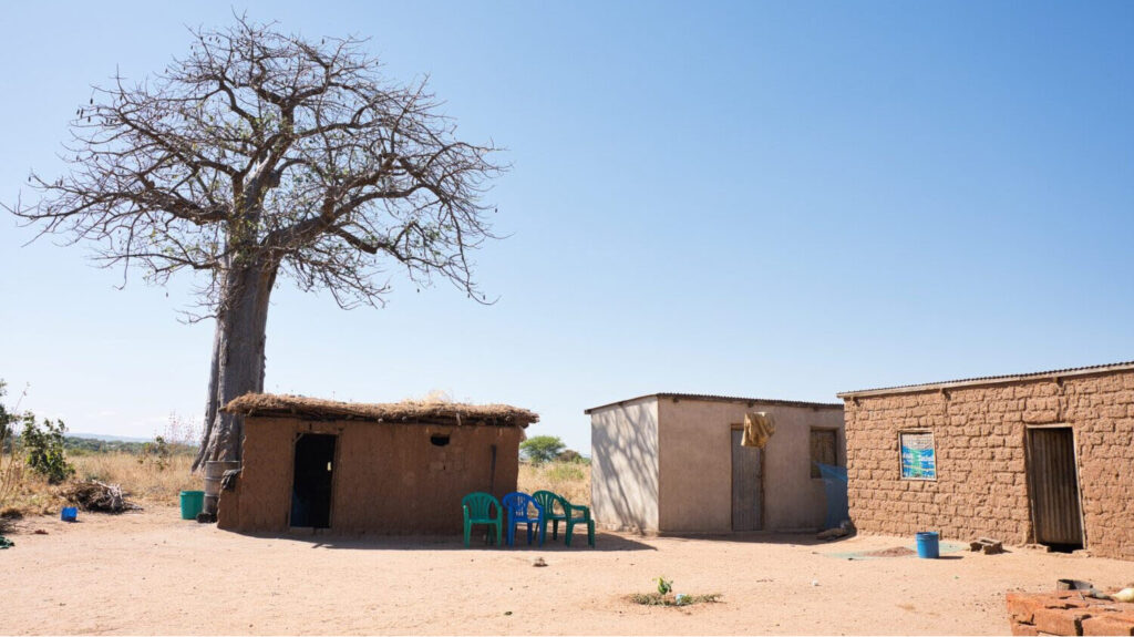 A few houses in rural Tanzania with a tree behind one of the houses.