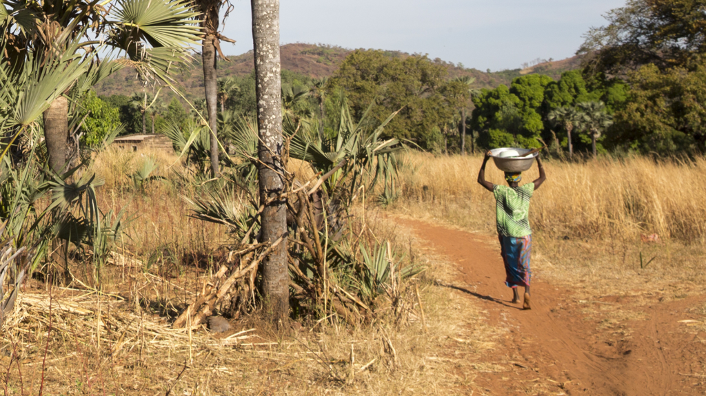 A woman holds a bowl on her head while walking along a dirt road.