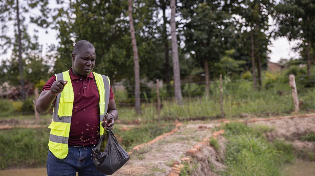 Denis stands on a riverbank throwing fish feed from a black bag.