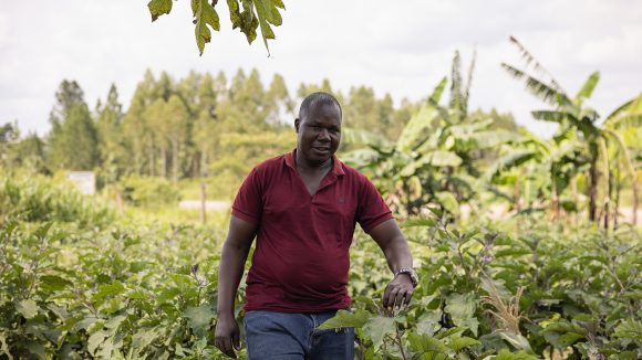 Denis walks through dense, green foliage.
